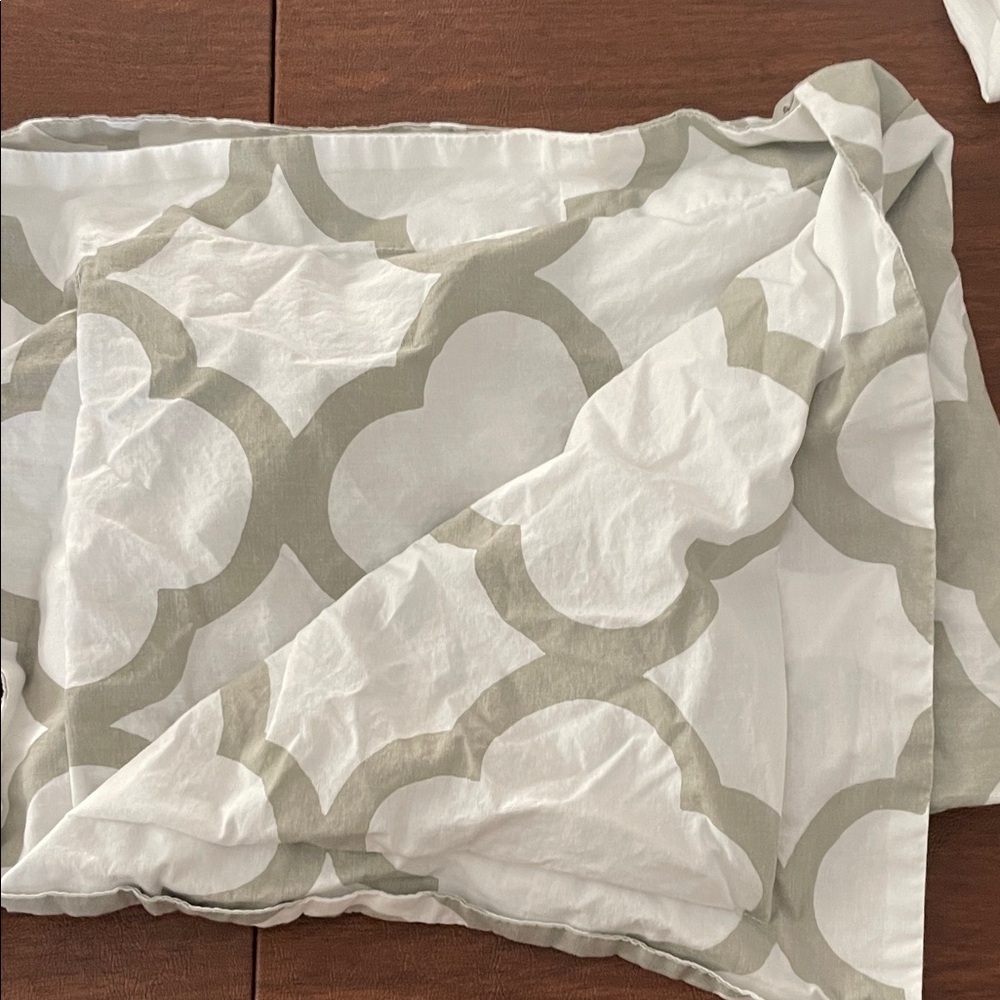 PB Teen shams (set of 2)